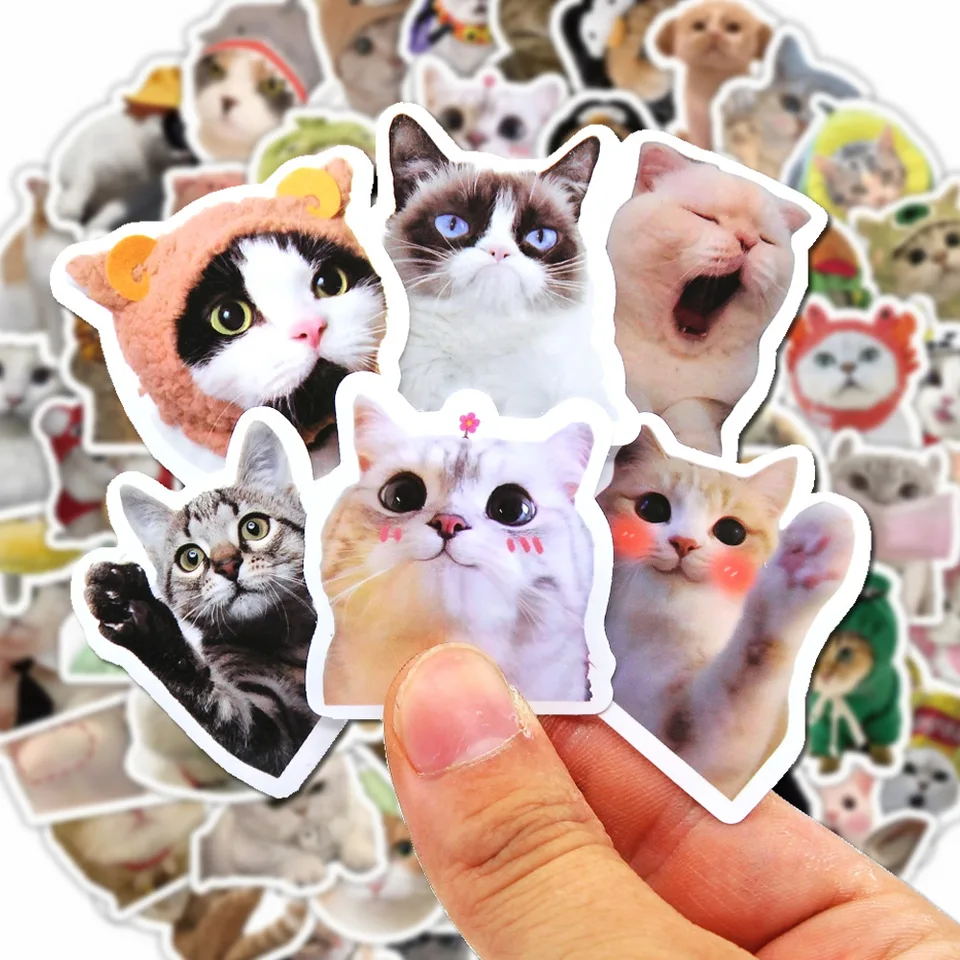 100/500/1000pcs Funny Cat Stic - Kids Toys Laptop บทวิจารณ์และราคา