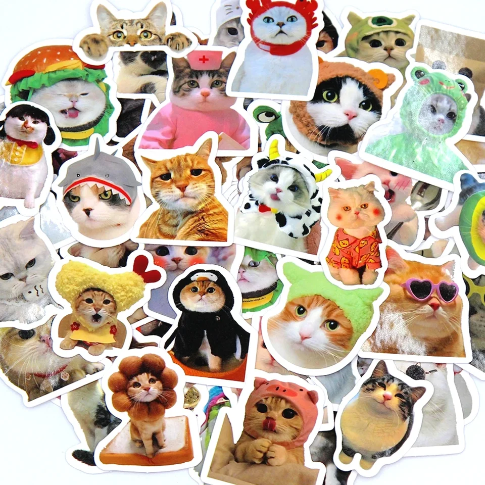 100/500/1000pcs Funny Cat Stic - Kids Toys Laptop บทวิจารณ์และราคา