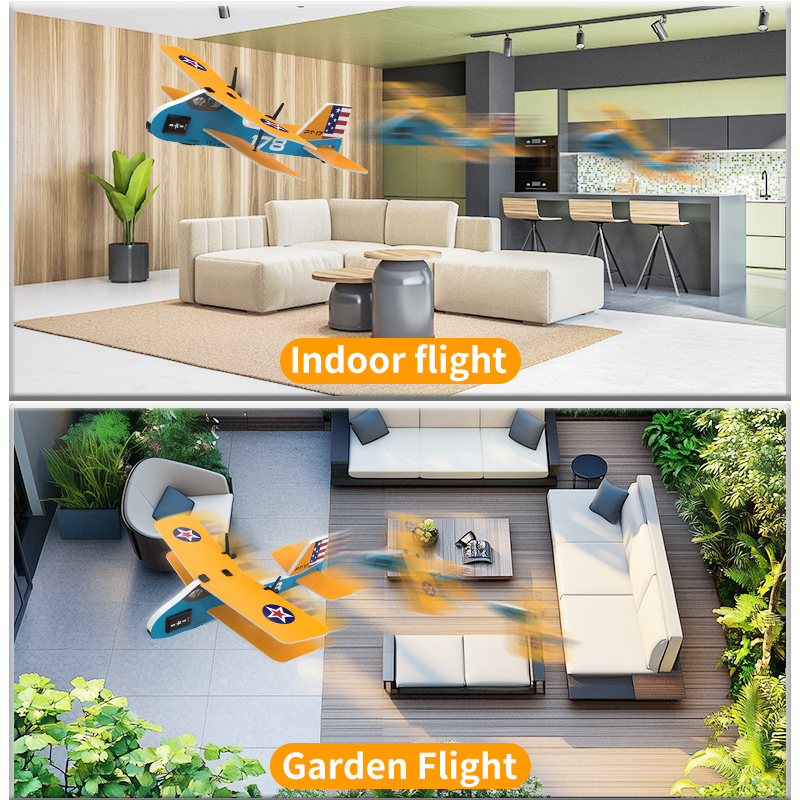 Professional RC Plane 2.4G Rad - Kids Toys Under $20 บทวิจารณ์และราคา