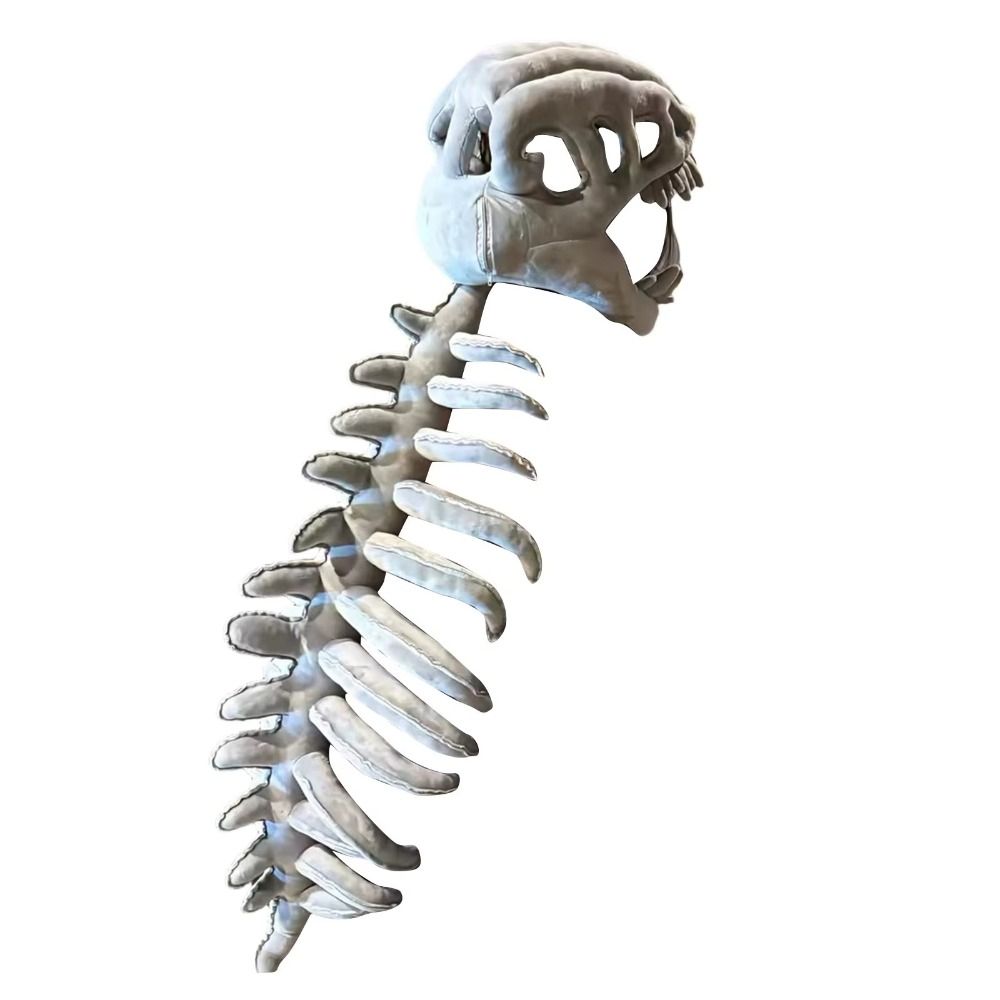 3D Dinosaur Skeleton Toys Funn - Kids Toys Videos บทวิจารณ์และราคา