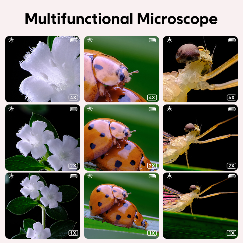 Mini Kids Optical Microscope W - Kids Toys Videos บทวิจารณ์และราคา